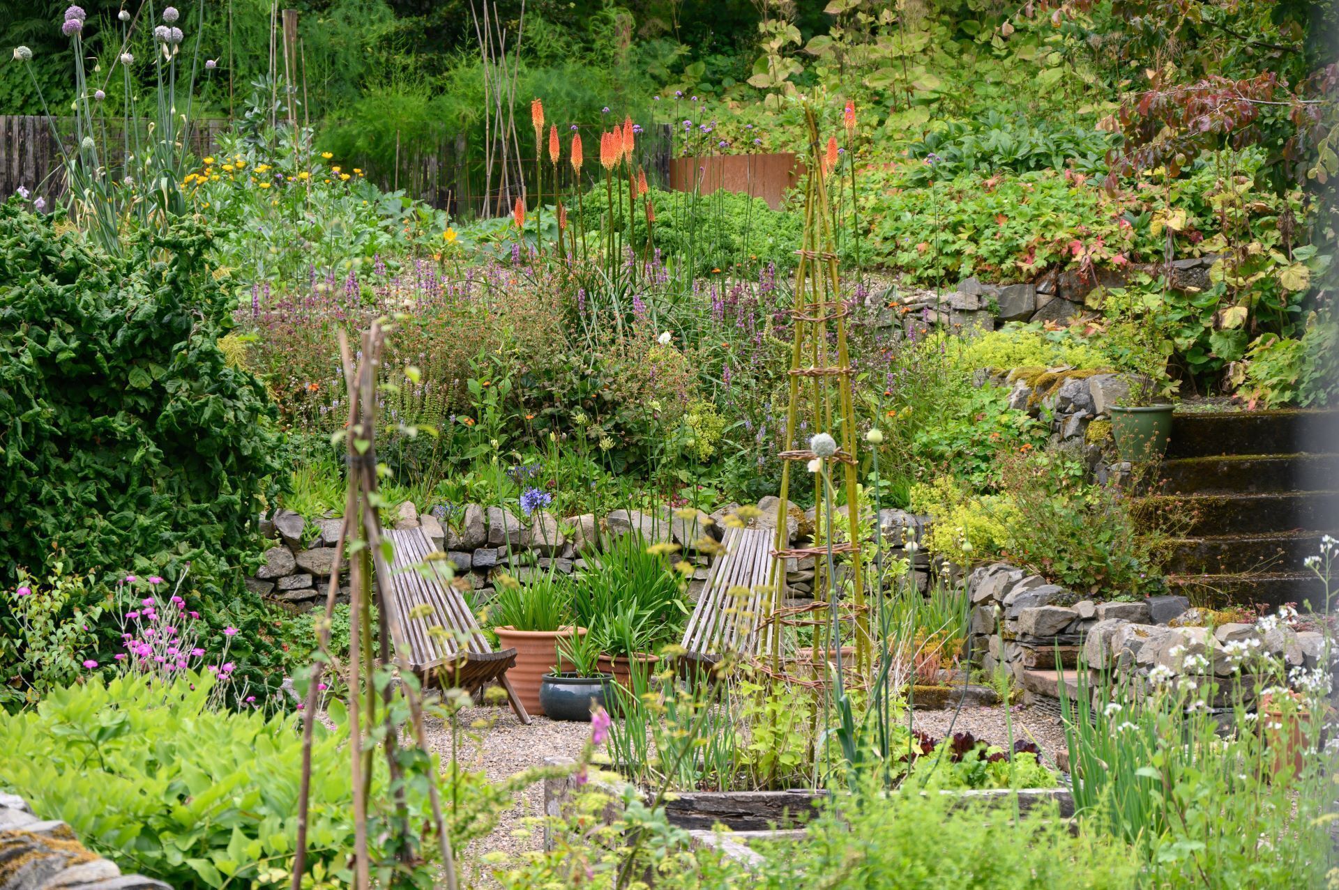 المنطقة المحيطة بالمنشأة