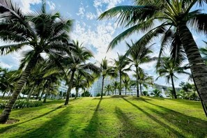 A pathway lined with palm trees leading to a grassy area.