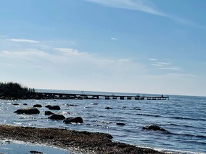 A coastal scene with a pier extending into the water, surrounded by rocks and vegetation.