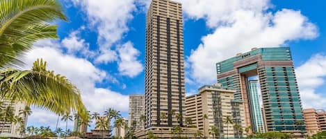 A high-rise hotel with a modern design, located near a waterfront with palm trees.