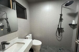 A modern bathroom with a white sink, a toilet, and a shower with a handheld showerhead.