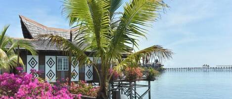 Utsikt från boendet