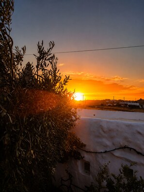 A sunset over a rural landscape with olive trees and a white building.