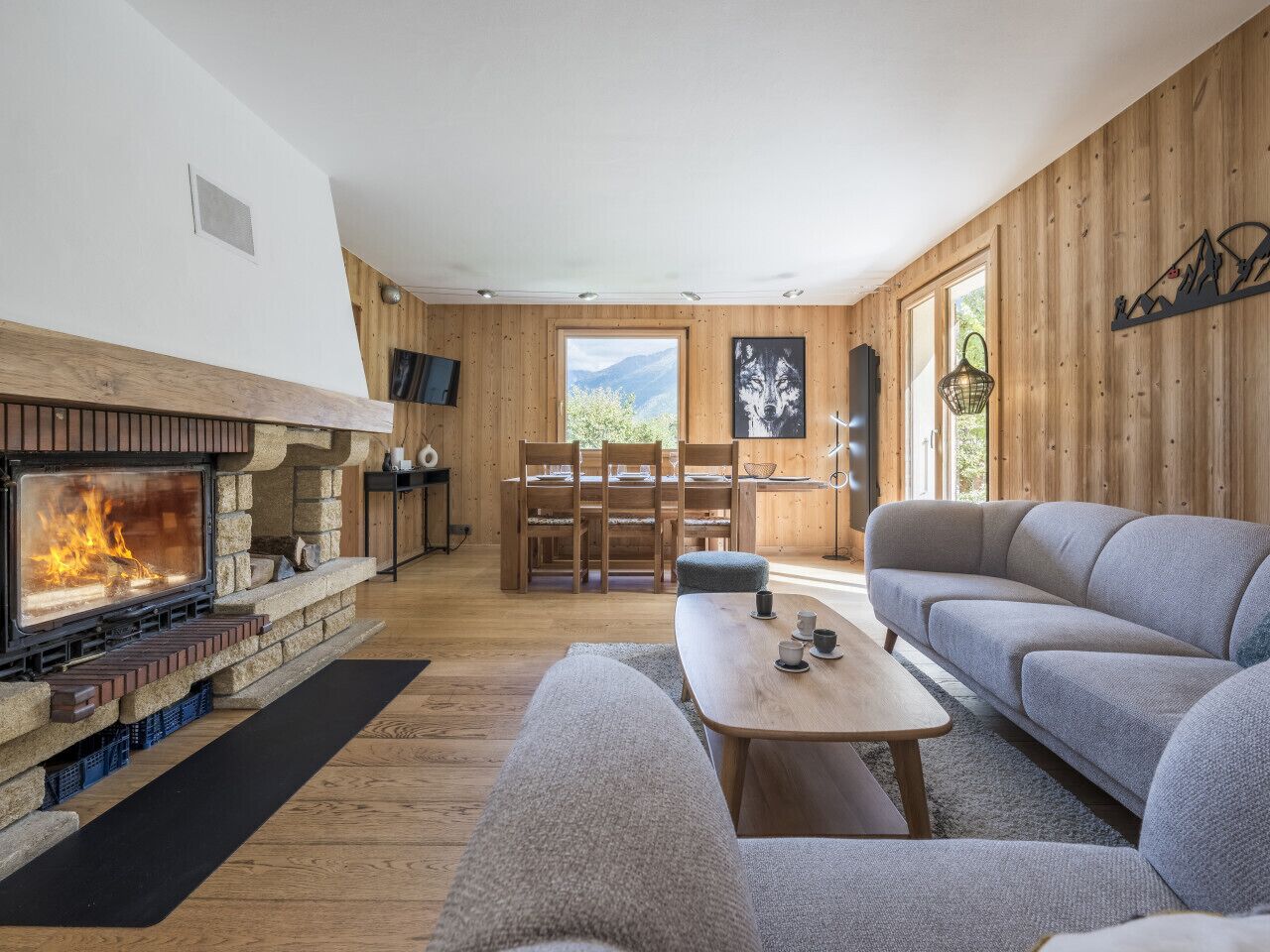 TV, fireplace