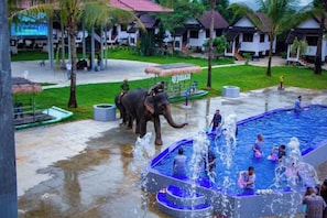 An elephant near a pool with people around. - Hometown of Dragon Hotel (Vang Vieng)