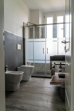 Shower, hair dryer, bidet, towels