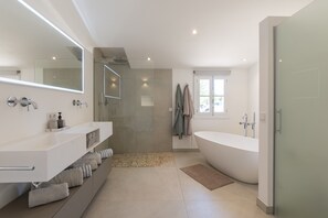 Shower, hair dryer, towels