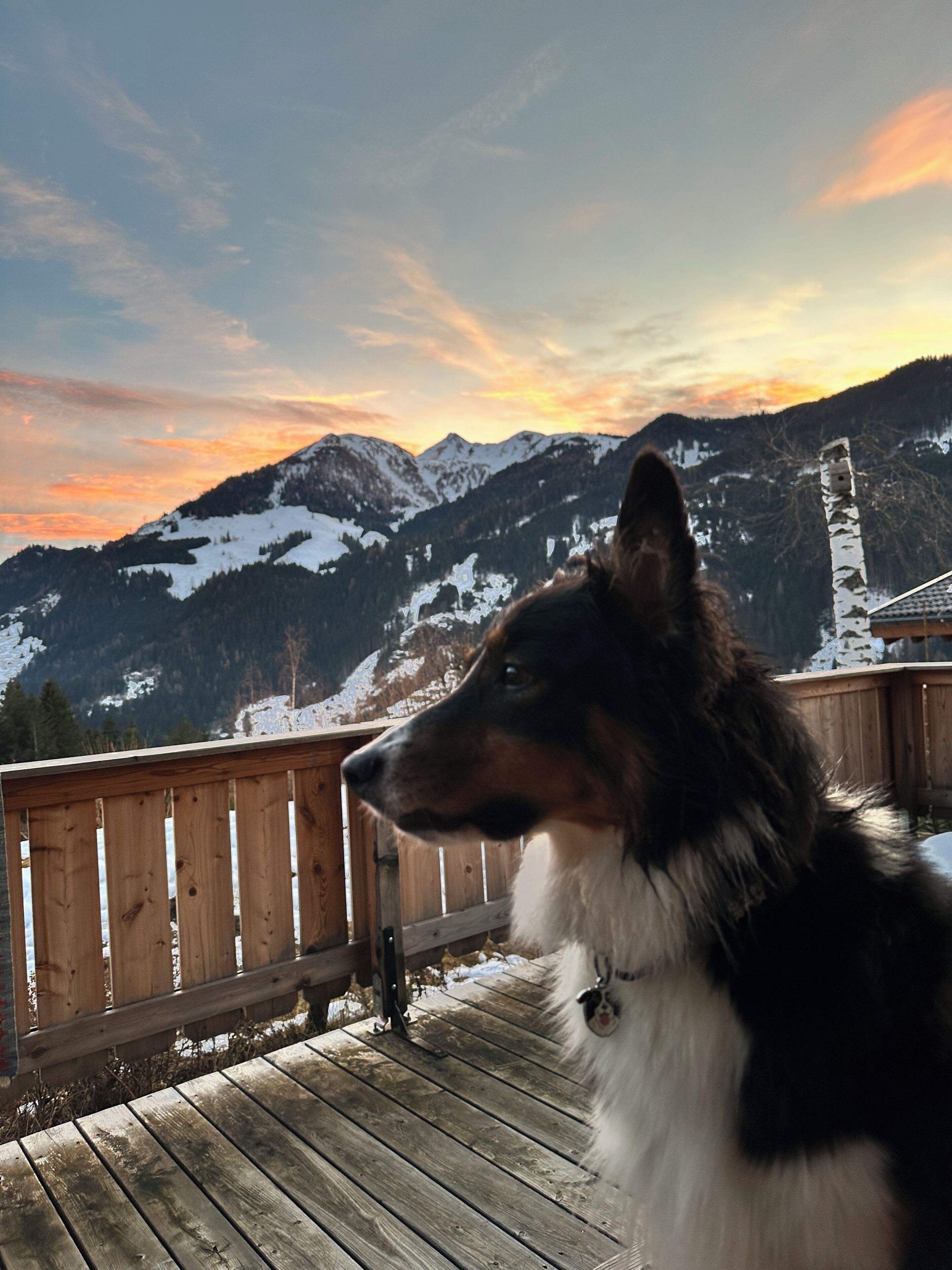 A wooden deck with a dog looking out over a mountainous landscape.