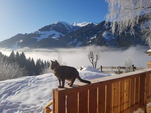 View from property - Wolke26 -The summit chalet (Winkl)
