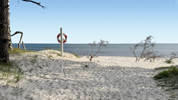 Hiekkainen ranta, jossa on pelastusrenkaan muotoinen opaste, puu ja taustalla meri.