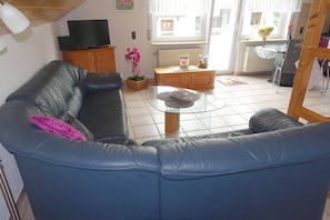 TV, DVD player, books, stereo