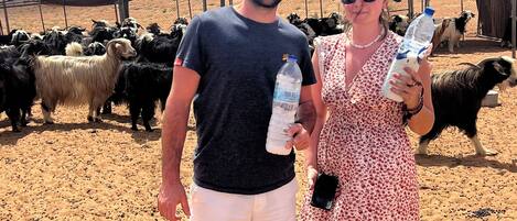 Un hombre y una mujer de pie en el desierto, con un rebaño de cabras al fondo.