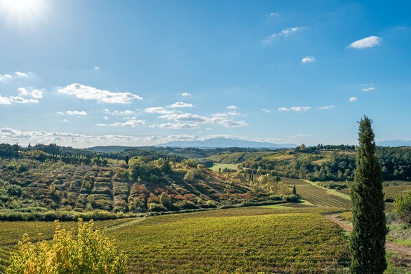 Miscellaneous - Room 'Doppia' with Shared Garden, Wi-Fi and Air Conditioning (Cerreto Guidi)