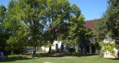 La Maison du Bourg 15' from d'Auxerre-Branches airport (France, Yonne)