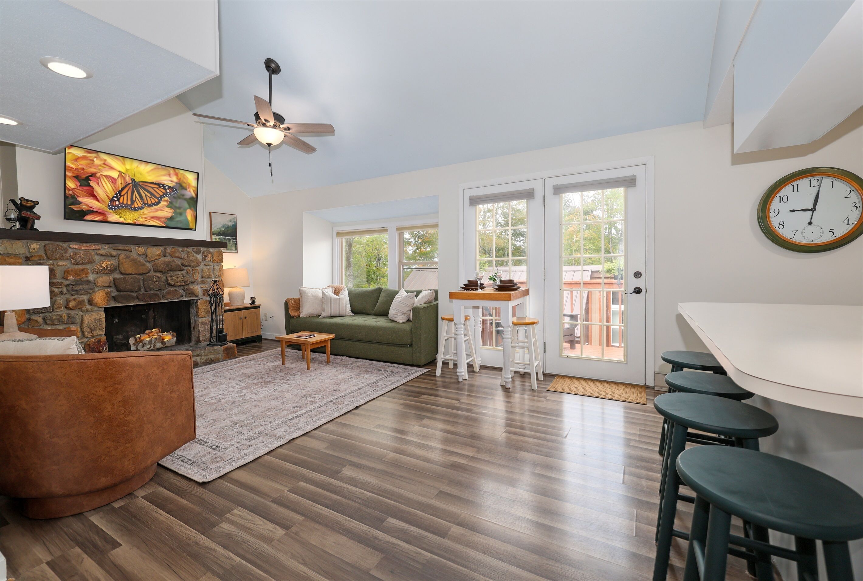 Smart TV, fireplace, books