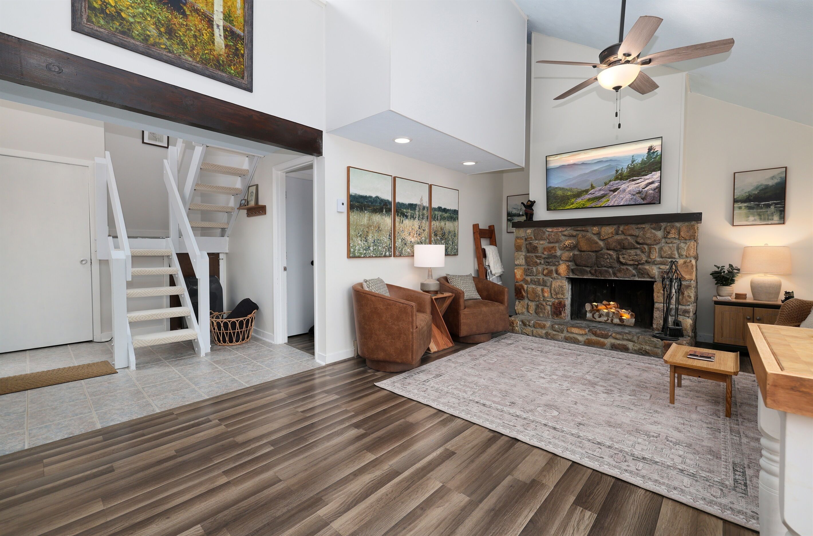 Smart TV, fireplace, books