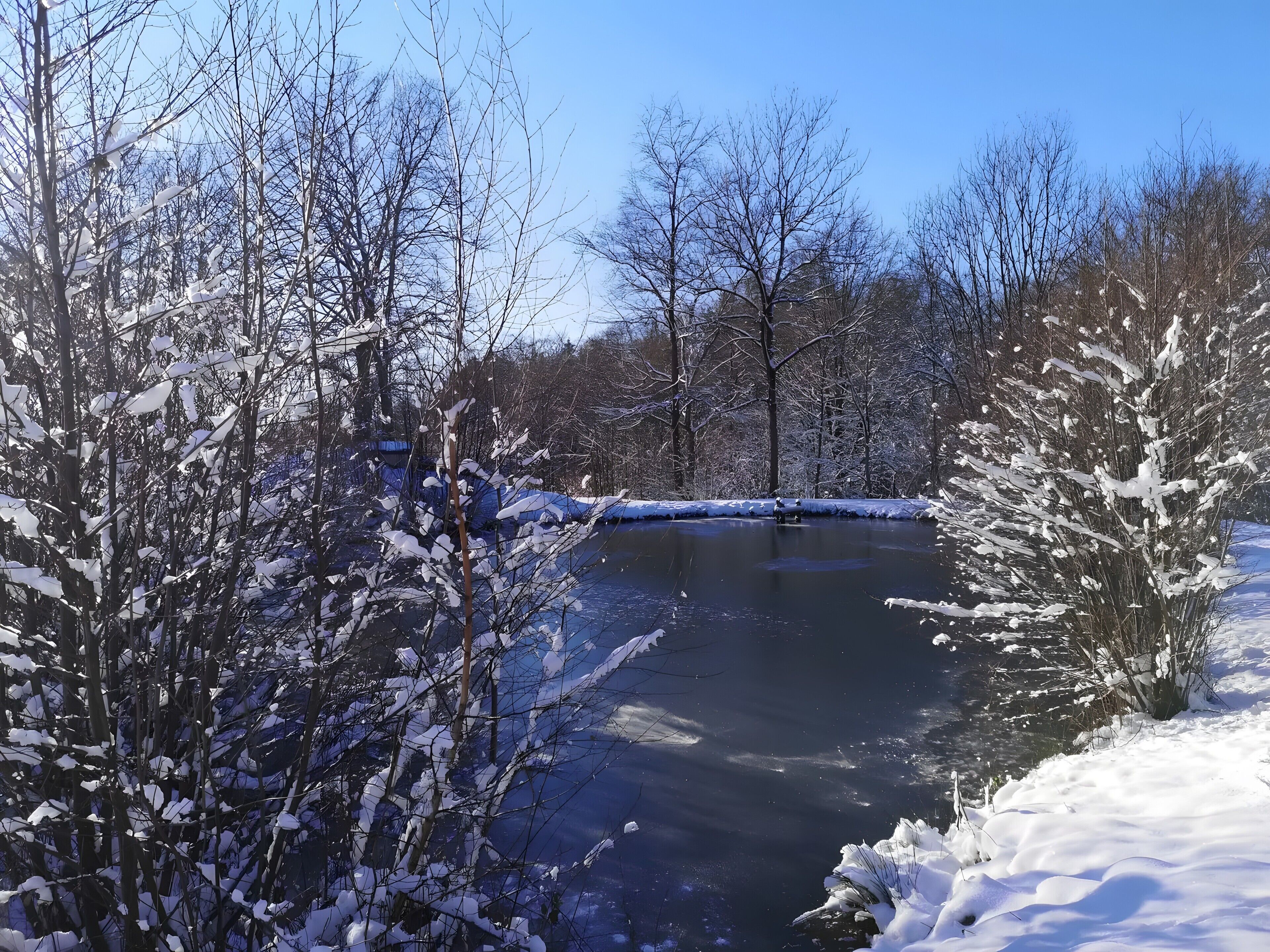 A frozen river with snow-covered trees and a clear blue sky.