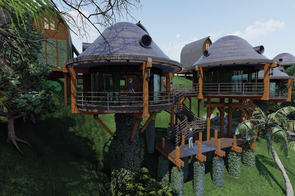 Bonsai Eco Village