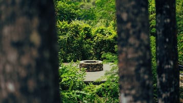 Pendiangan