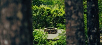 Matahom Forest Glamping Tent 1