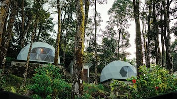 Jardín