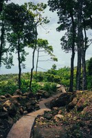 Vista desde la propiedad