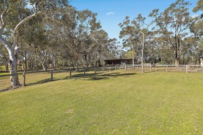 A grassy area with trees and a building in the distance. - La La Land by Coast Hosting (Kariong)