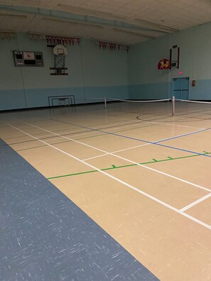 Sport court - A vineyard close to Manitou Beach, with Gym, Pet-friendly, 10 ac fenced backyard (Young)