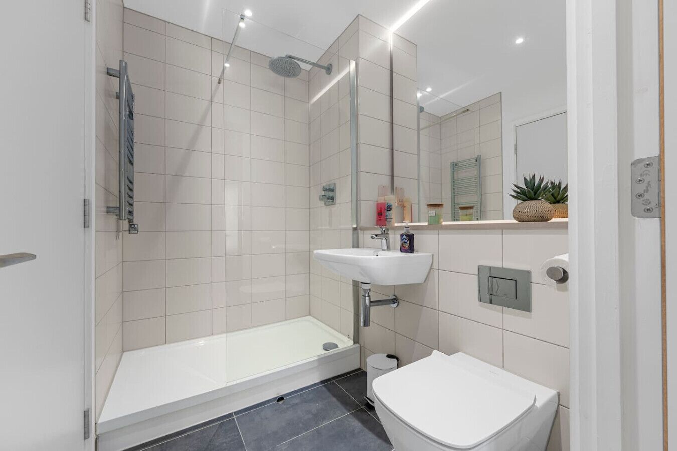 Hair dryer, towels, soap, shampoo