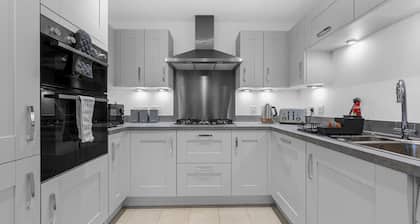 Luxurious Stylish: Modern Home