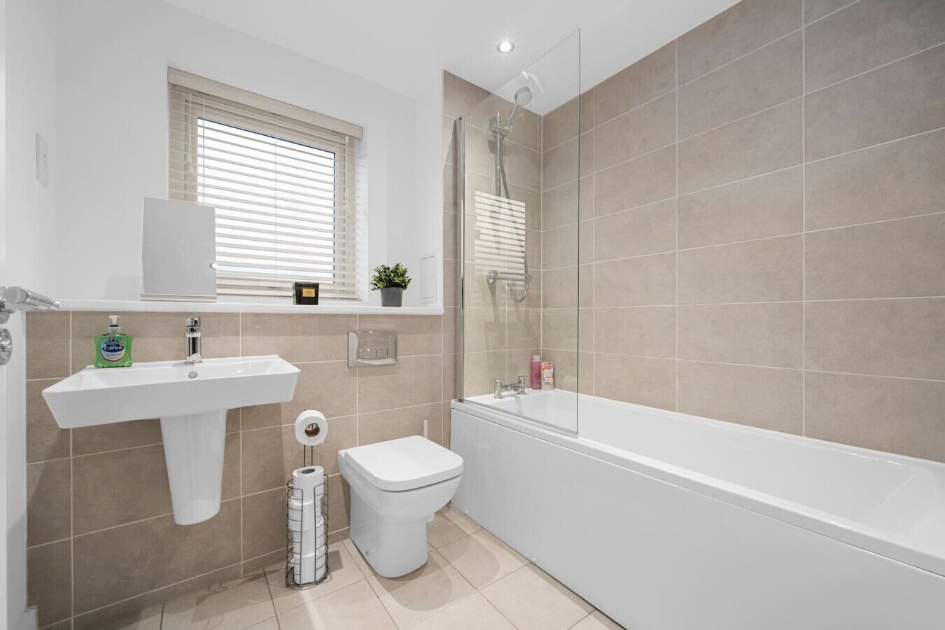 Hair dryer, towels, soap, shampoo