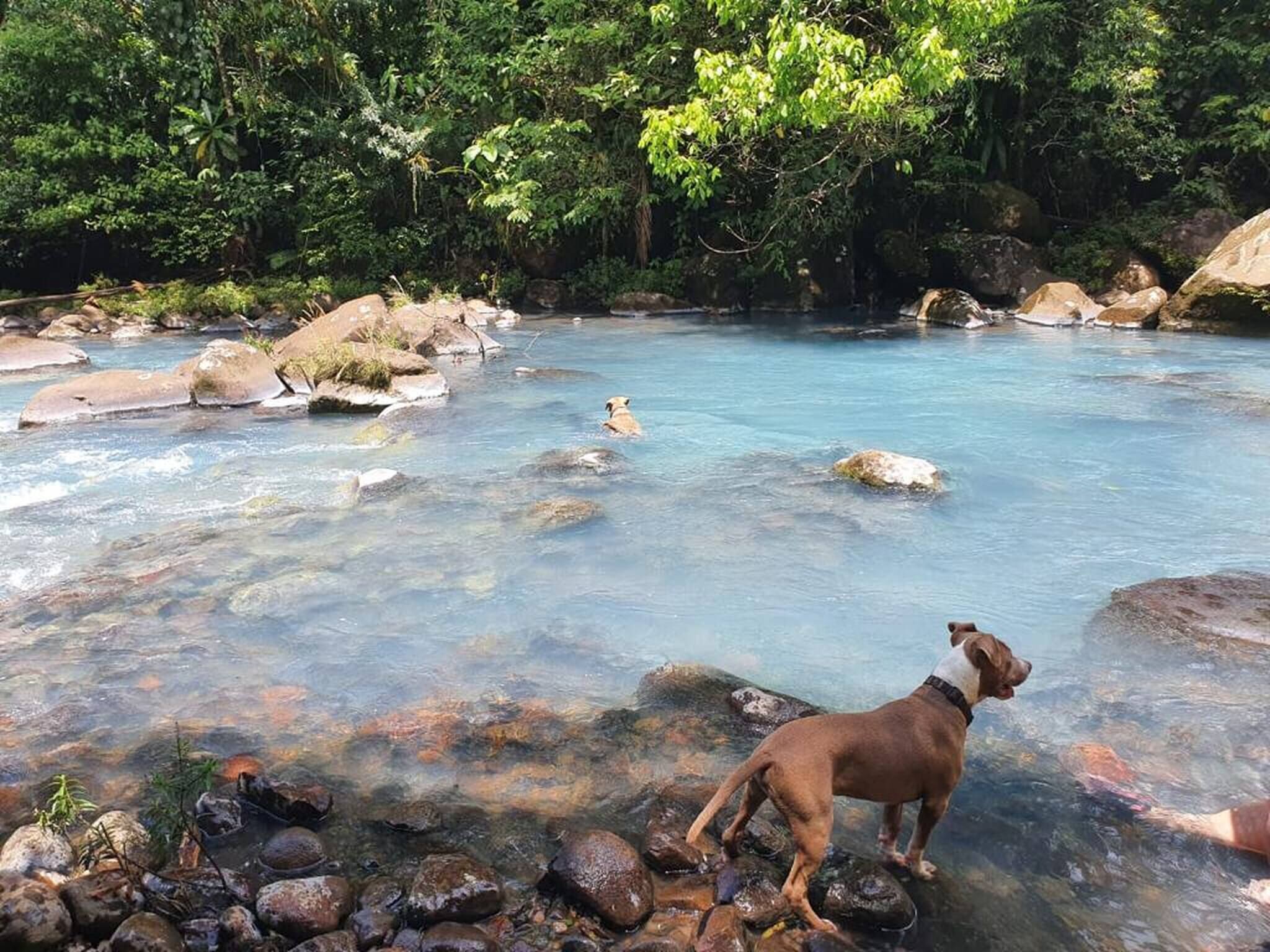 獨棟房屋, 3 間臥室, 吸煙房, 陽台 | 海灘