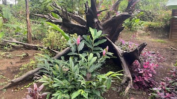 Jardín