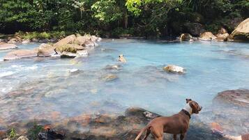 Casa, 2 quartos, para fumantes, sacada | Praia
