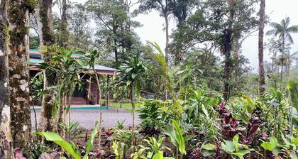 Pura Vidaville - Toucan's Nest