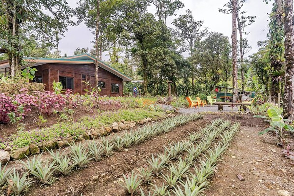 House, 3 Bedrooms, Smoking, Patio | Property grounds