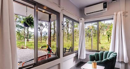 Pura Vidaville - Toucan's Nest