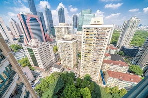 Superior Apartment, 4 Bedrooms, Balcony, City View | View from room