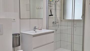 A modern bathroom with a glass shower enclosure, a white sink, and a mirror above the vanity.