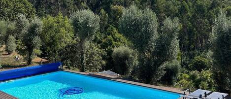 Seasonal outdoor pool, pool umbrellas, sun loungers