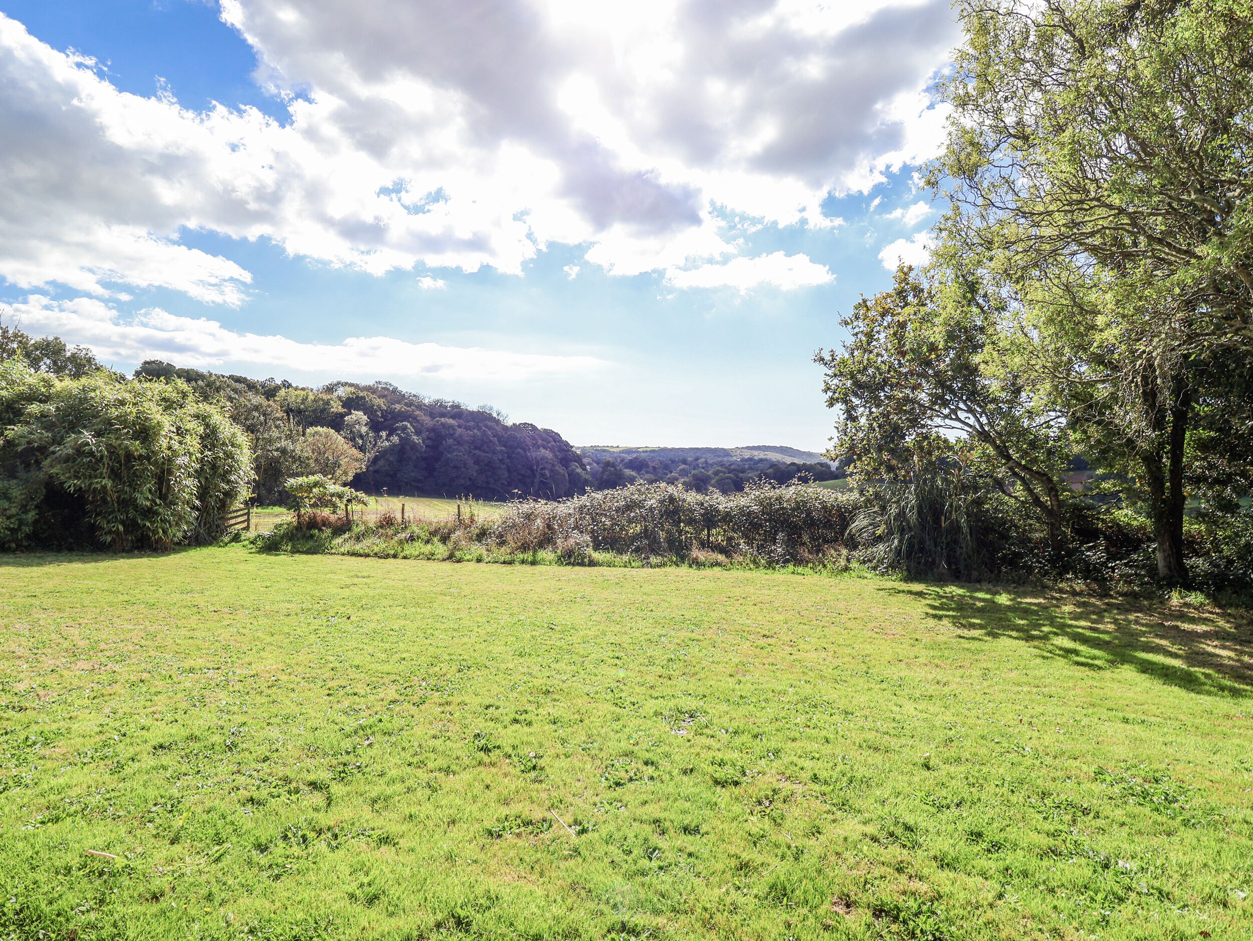 A grassy field with trees and hills in the background.
