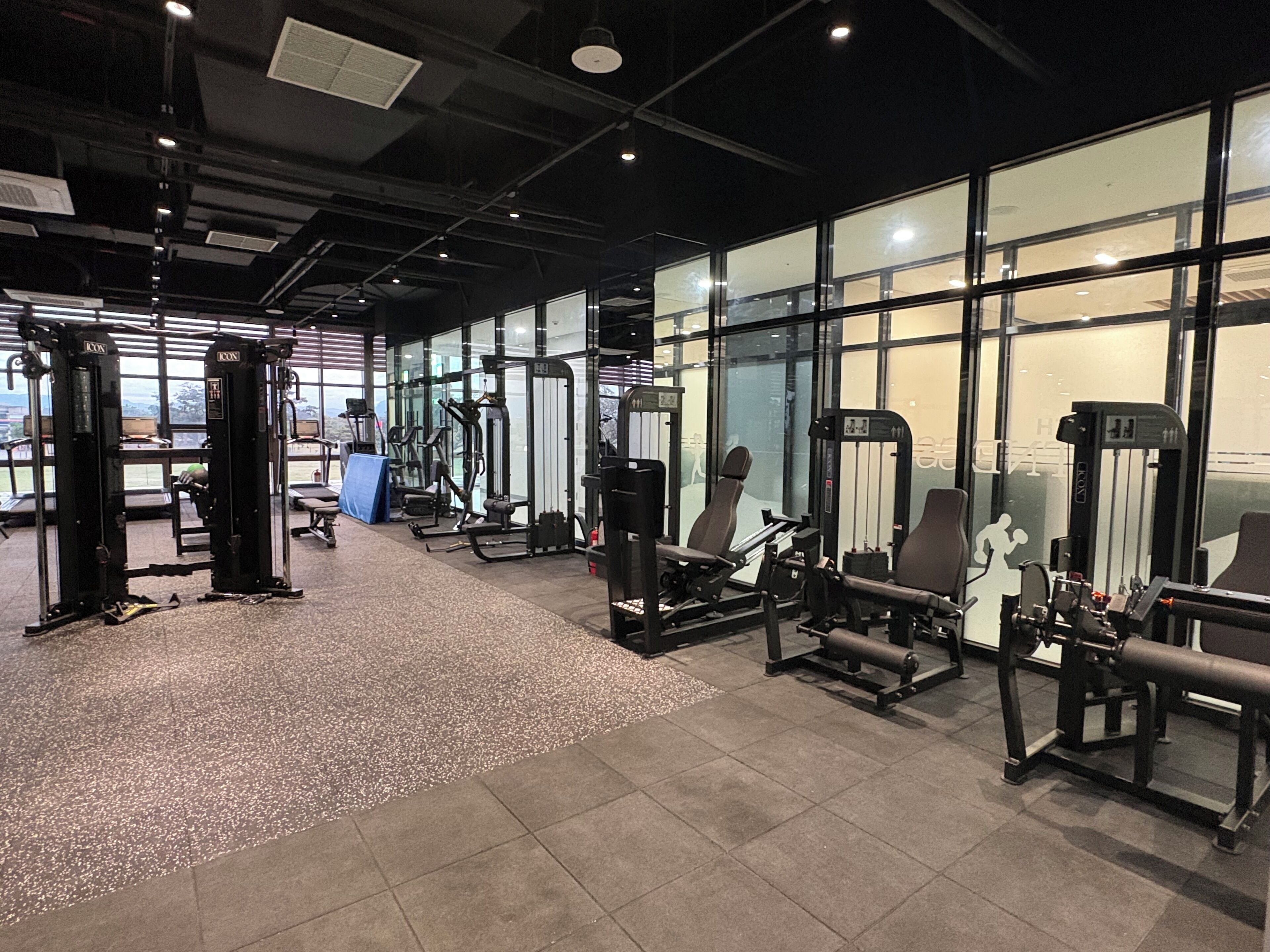 A gym with various exercise machines, a blue mat, and a large window.