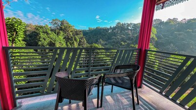 Mountain Springs Resort