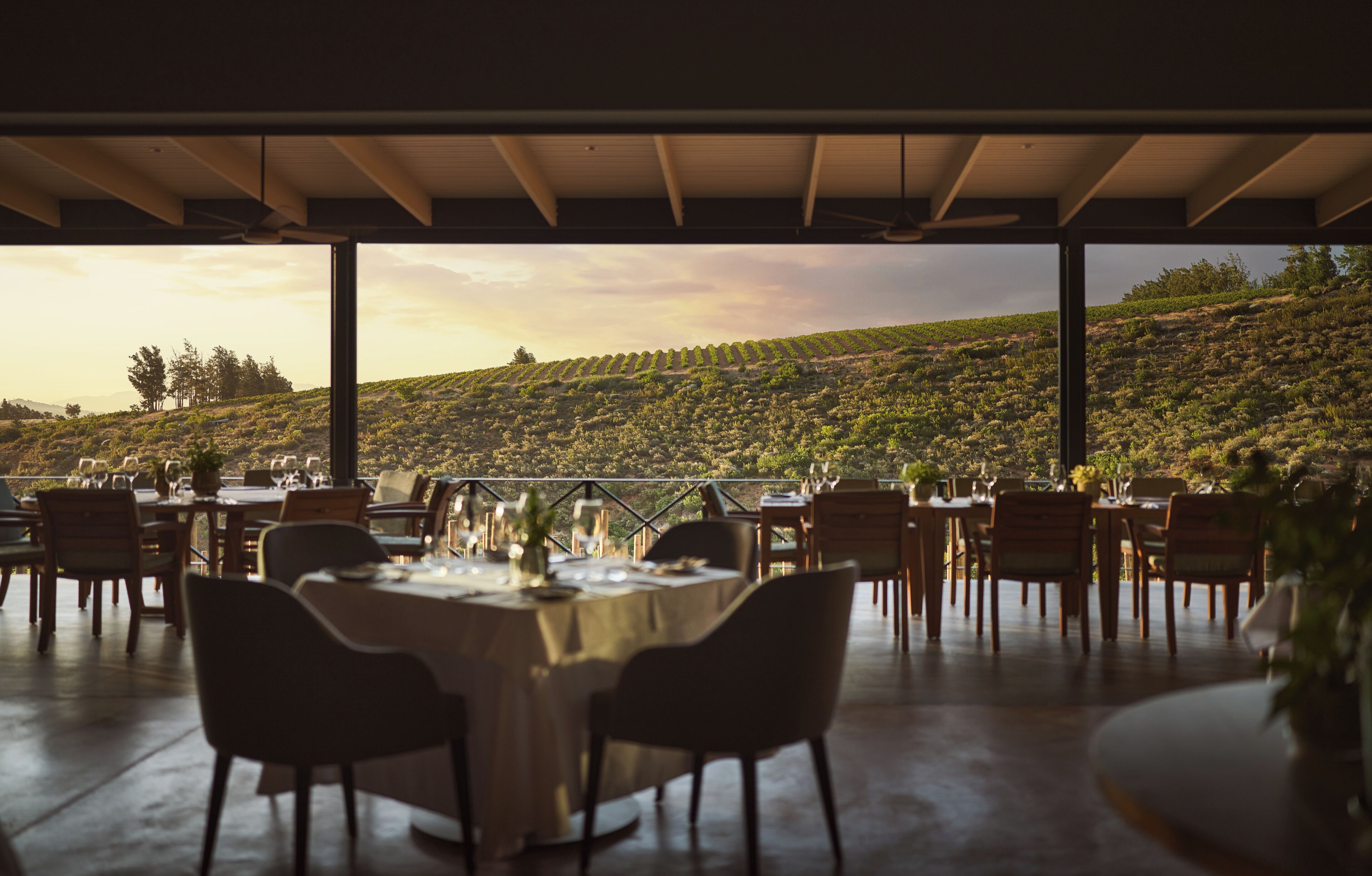 An outdoor dining area with tables set for a meal, overlooking a vineyard.
