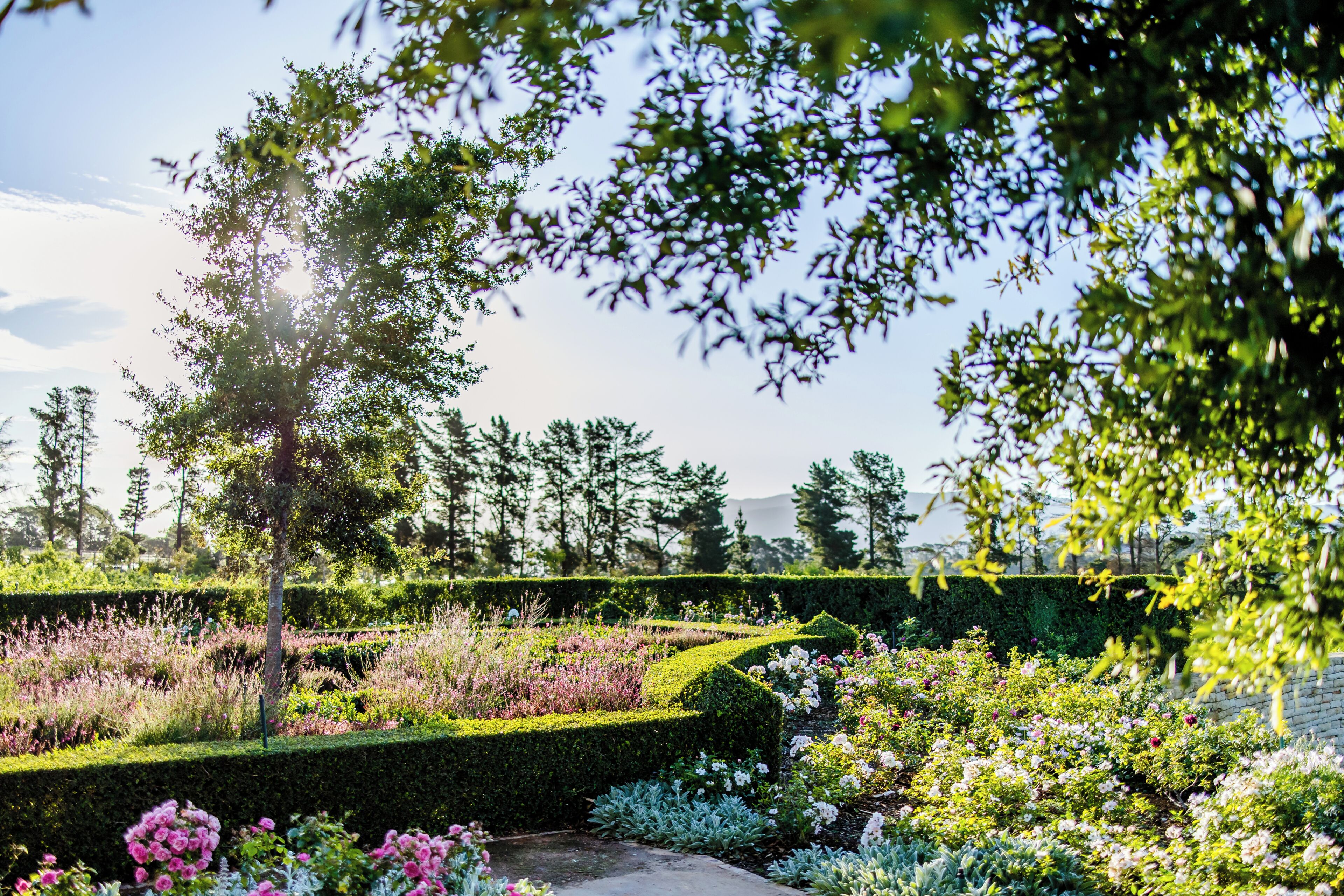 A garden with various plants and flowers, a neatly trimmed hedge, and a pathway.