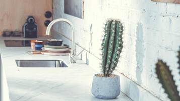 Micro-ondes, four, plaque de cuisson