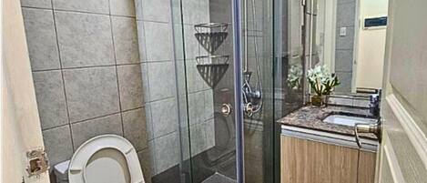 A bathroom with a glass-enclosed shower, a toilet, and a sink with a mirror.