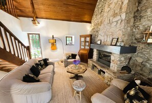 Fireplace, books, music library