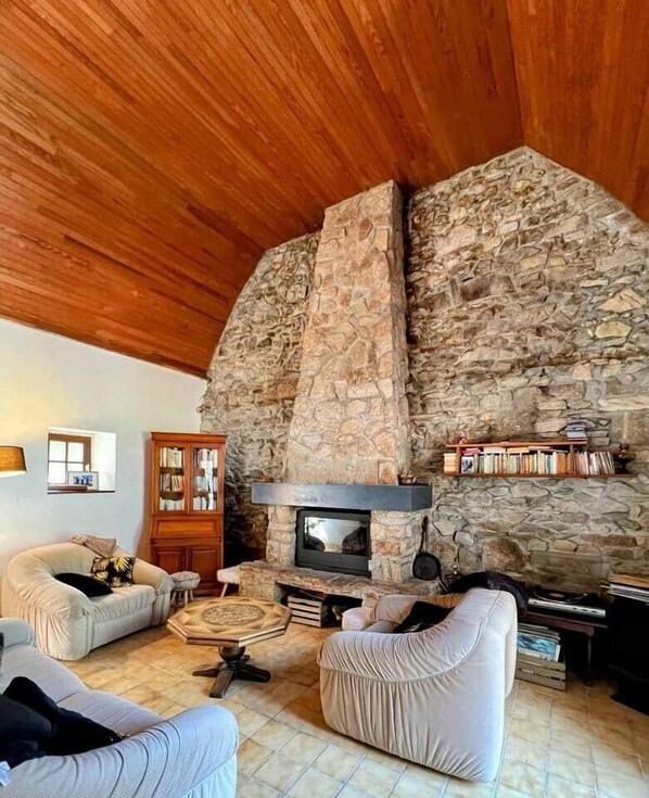 Fireplace, books, music library