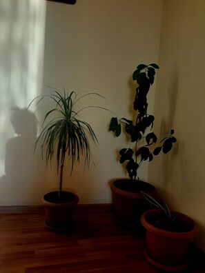 Interior - The Home Of Bright Moments (Yerevan)